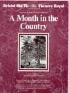 Month in the country